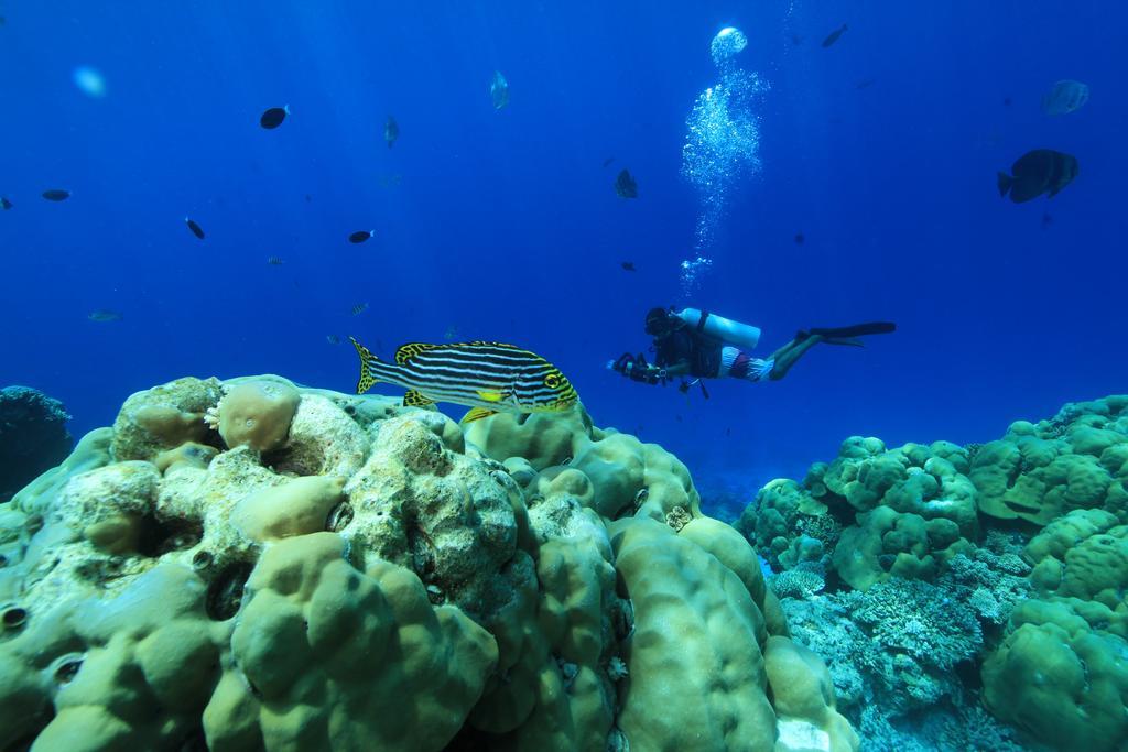 Plumeria Maldives Thinadhoo  Exterior foto