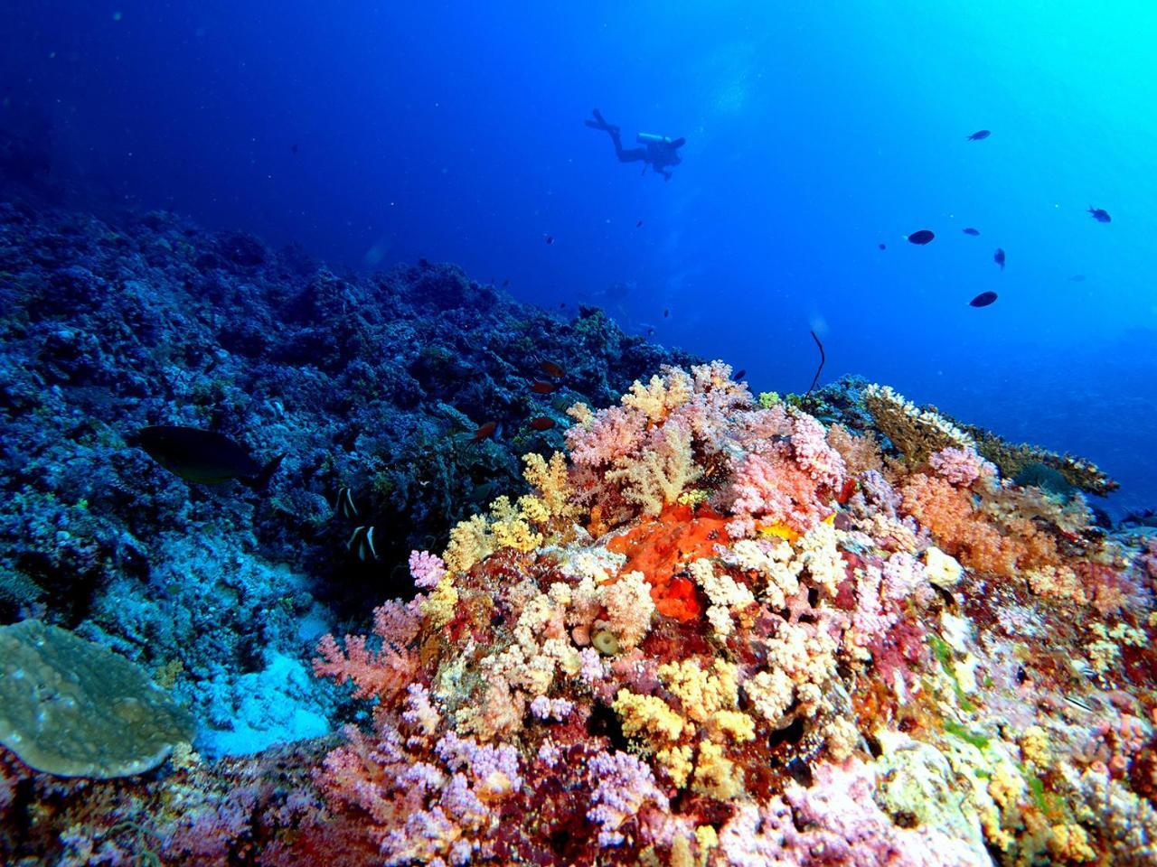 Plumeria Maldives Thinadhoo  Exterior foto